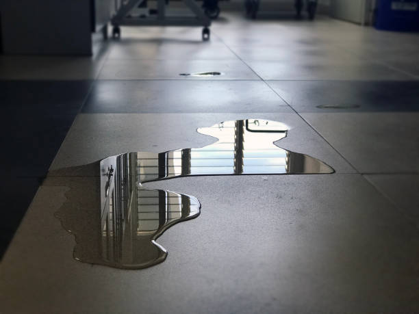 Best Commercial water damage restoration  in Cherokee, IA